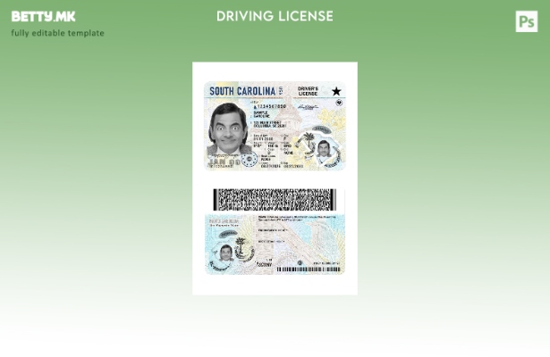 Модерен стил присутен шаблон за возачка дозвола САД Јужна Каролина